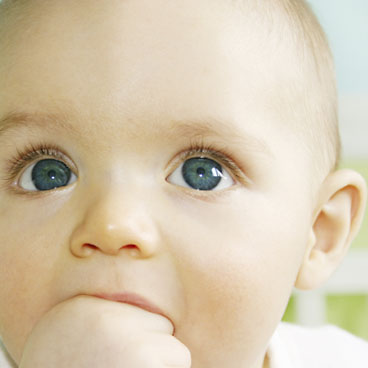 Kako bebe vide