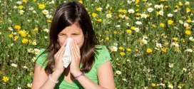 polenska alergija